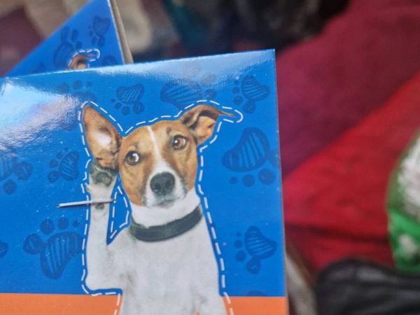 Pet items for dogs - Main image