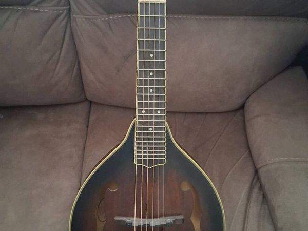 Gold Tone Mando Guitar - Main image