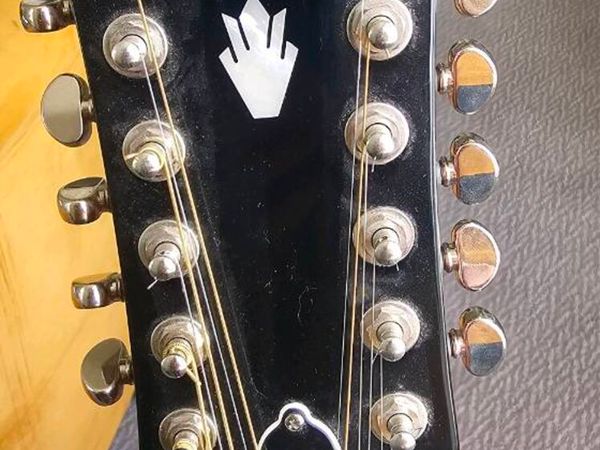 Epiphone IBG Hummingbird 12-string with case for sale in Clare for €550 ...