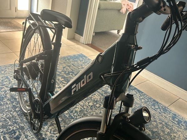 Fiido C11 Electric Bike - Main image