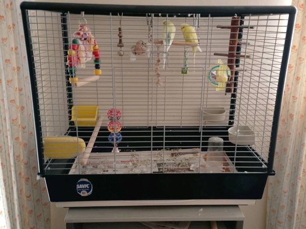 Bird Cage - Main image