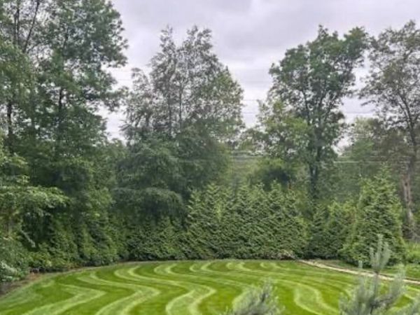 Hedge cutting and lawn care - Main image