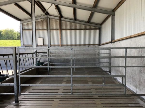 Cattle shed powerwashing - Main image