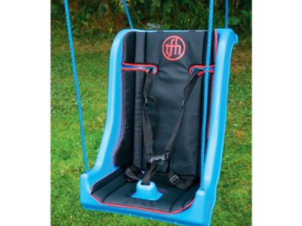 Special Needs Swing - Main image
