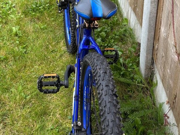 Carrera Mountain Bike-Junior - Main image