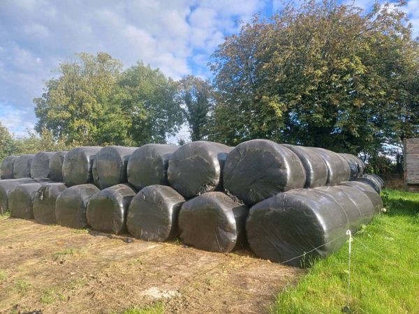 Silage Bales - Main image