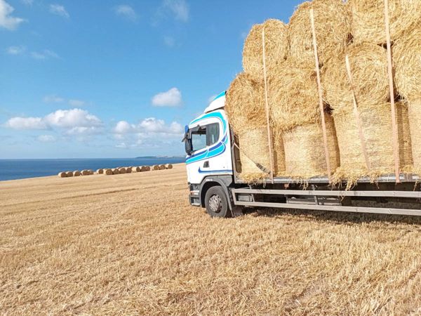 Hay Straw,silage delivered2026 - Main image