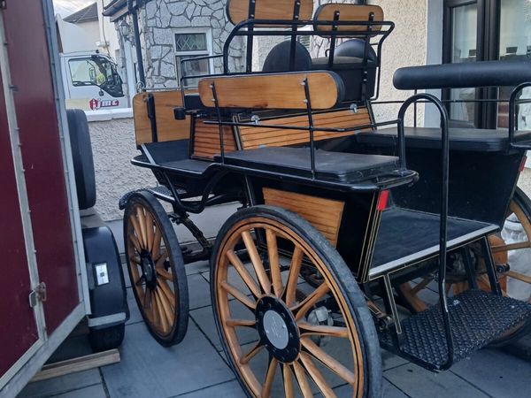 Wagonette gig - Main image