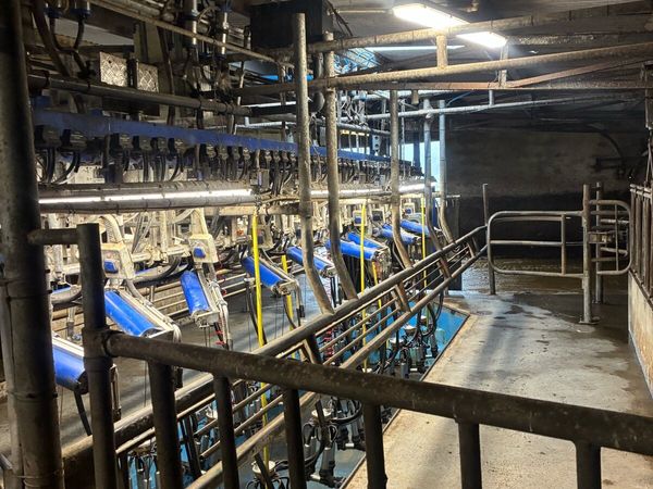 Milking parlor - Main image