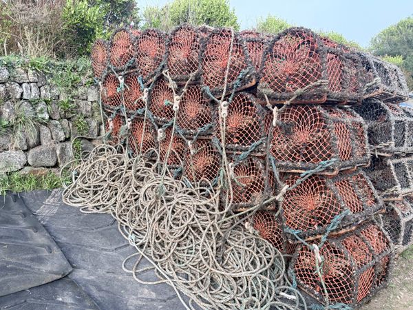 Lobster pots - Main image