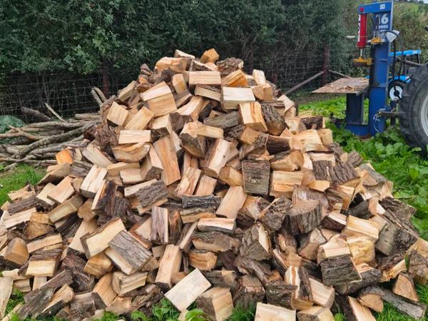 🔥 Firewood 🔥 - Main image