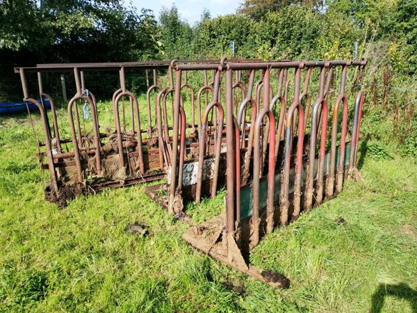 Cattle feed barriers - Main image