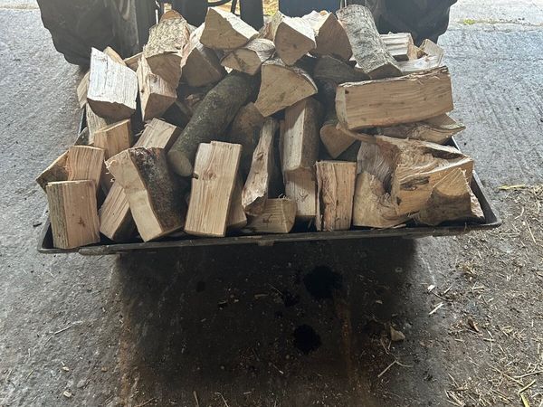Firewood - Main image