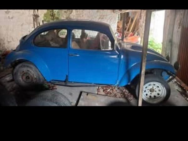 Beetle baja - Main image
