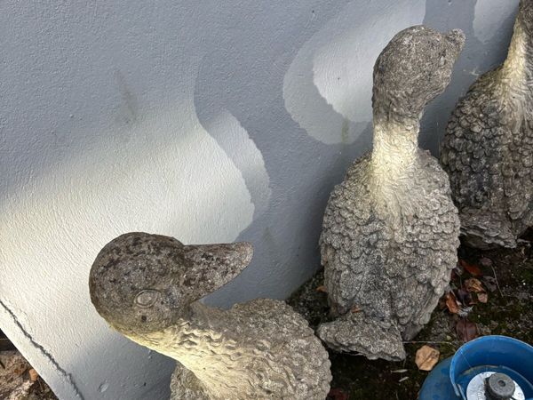 Concrete Geese - Main image