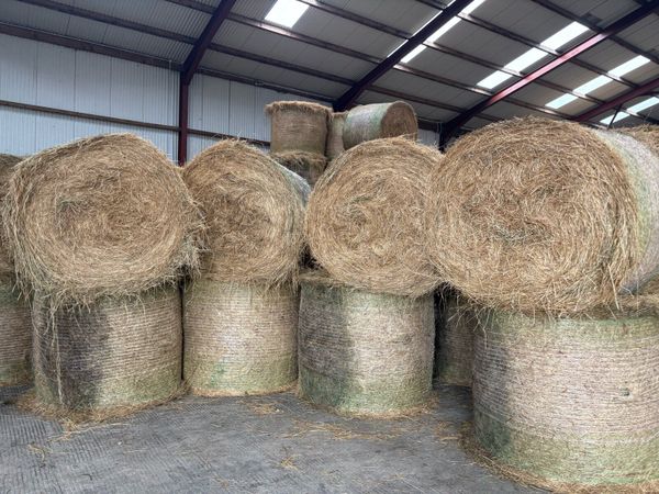Top Quality 2026 Hay in Round Bales Delivered - Main image