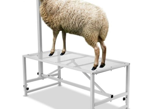 Goat & Sheep Stand, 47x23 inch Livestock Stand, Me - Main image