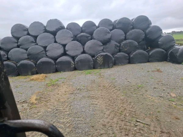 1st cut silage bales - Main image