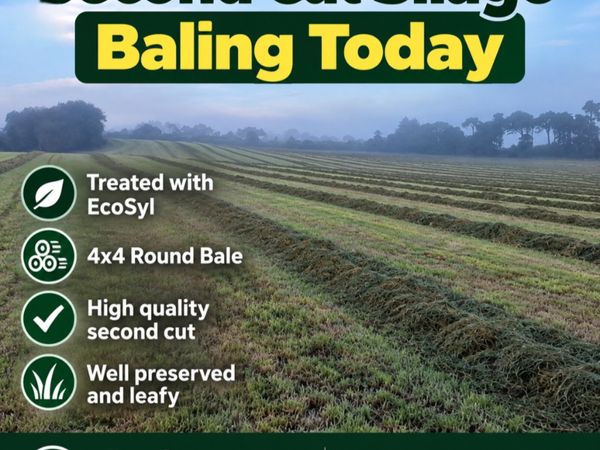 Silage bales - Main image