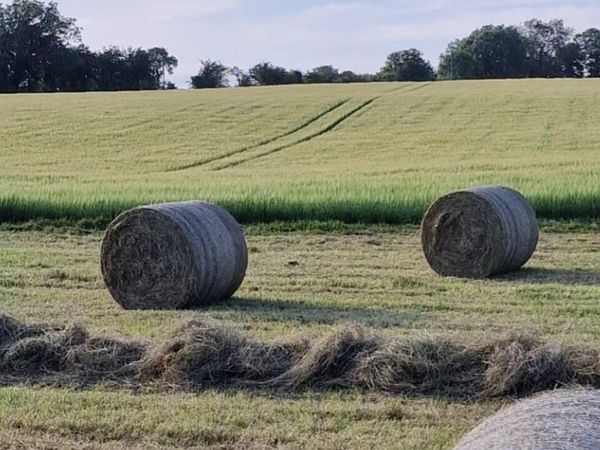 Silage bales for sale in Cork for €1,234 on DoneDeal