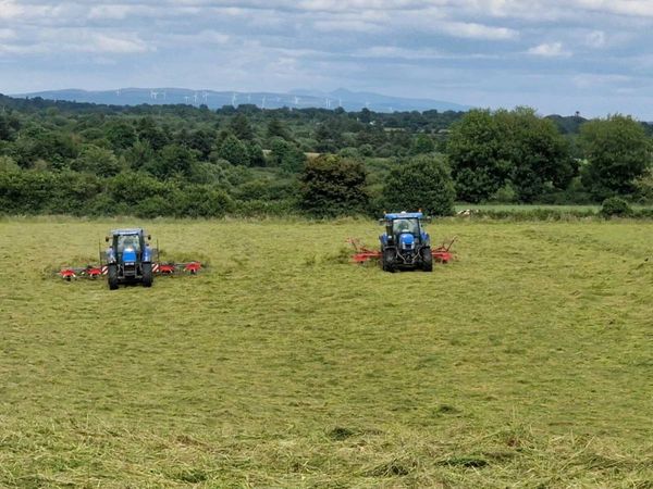 Silage bales - Main image