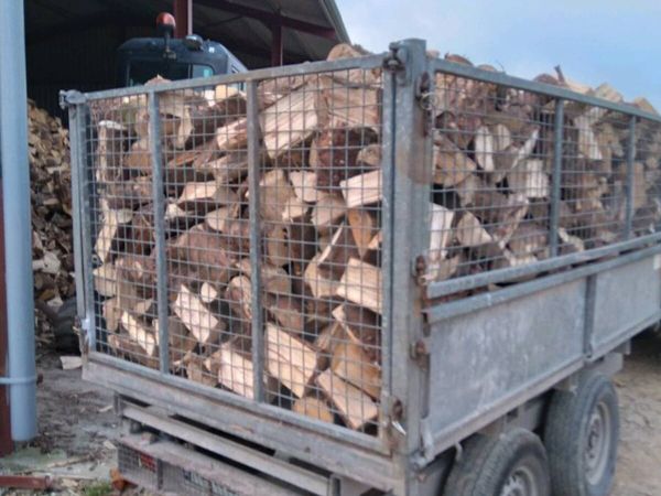 Firewood - Main image