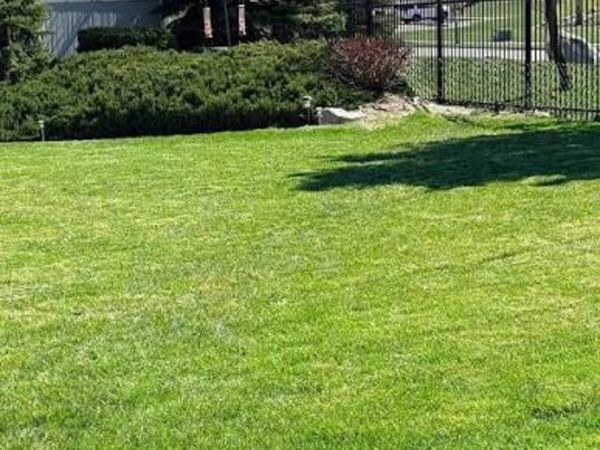 Grass cutting, power washing etc - Main image