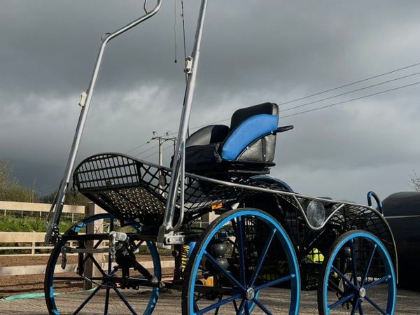 Horse carriage - Main image
