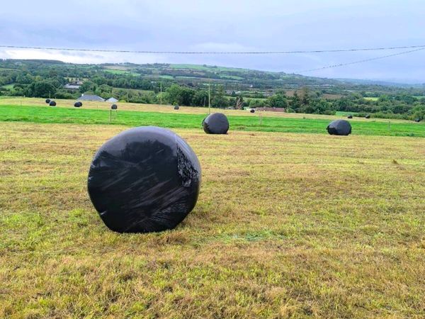 Round Bale Silage - Main image