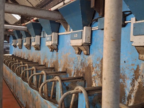 Farm clearance - Main image