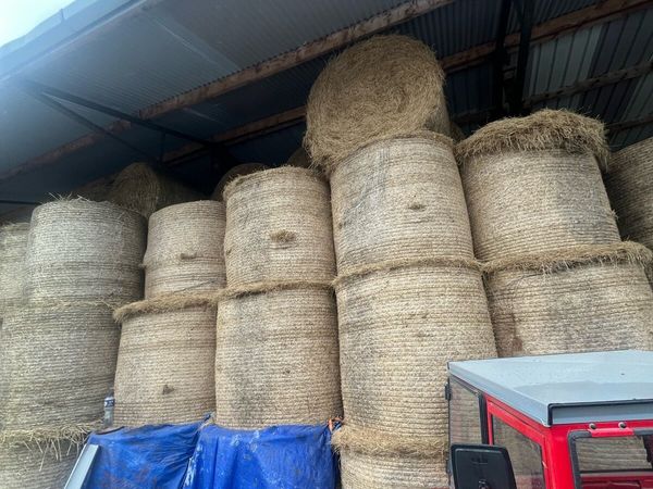 Fodder - Main image