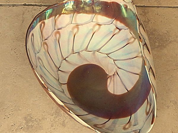 Large Folded Iridescent Glass Sea Shell Bowl - Main image