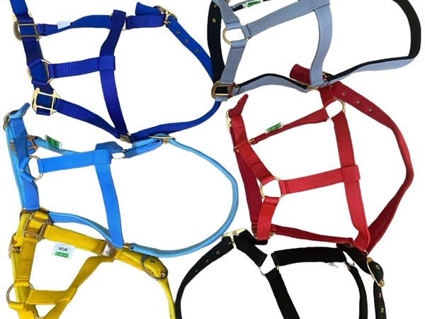 Nylon halter - Main image