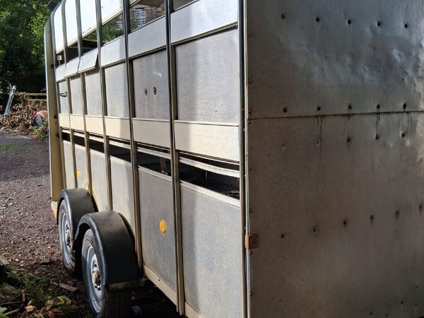 Cattle Horse Trailer Ifor Williams - Main image