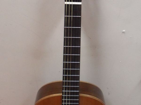 Ortega Electro-Classical Guitar (RE159RWSN) - Main image
