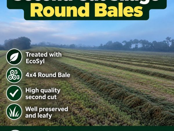 Silage bales - Main image