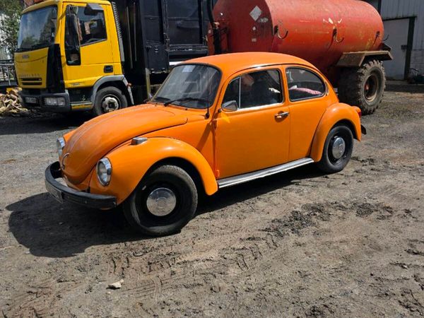 beetle - Main image