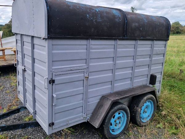 Cow box - Main image