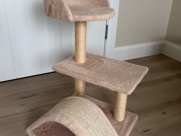 Kitten scratching post - Main image