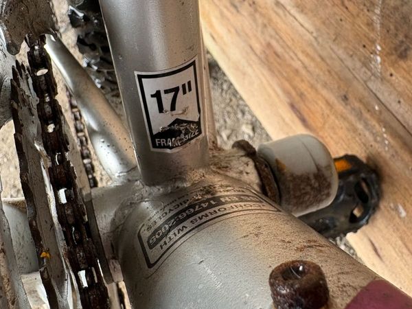 Girls Bicycle - Main image