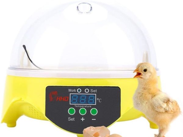 Mini 7-Egg Incubator with Temperature Control - Main image