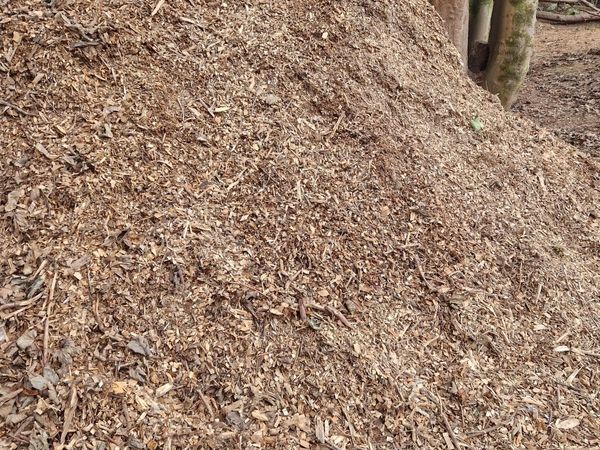 Loose Wood Chips - Main image