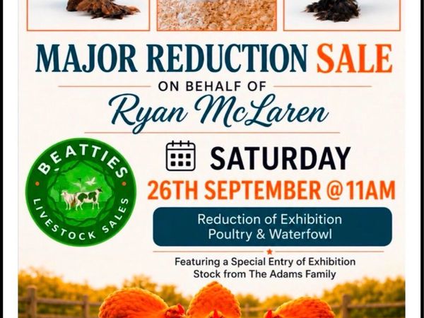 Major Reduction Sale on Behalf of Ryan McLaren - Main image