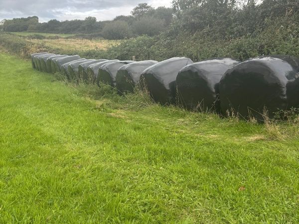 round bales - Main image