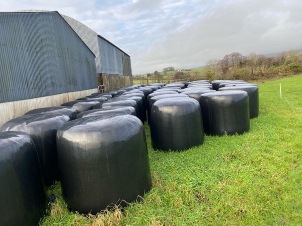 Round  bales - Main image