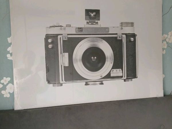 Picture - Main image