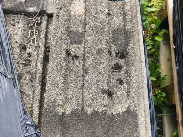 Roof tiles - Main image