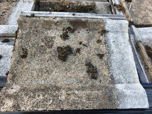 Roof tiles - Main image
