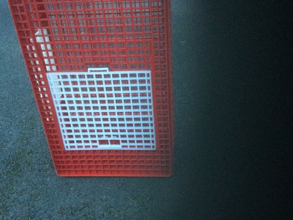 Cage for transporting fowl - Main image