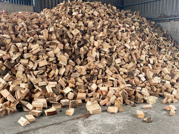 Fire wood 🔥🔥 - Main image